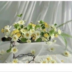 BÌNH HOA, LỌ HOA THỦY TINH HÌNH CHAI KÈM DÂY XÍCH, LỌ HOA BAY TRANG TRÍ, DECOR ĐỘC ĐÁO