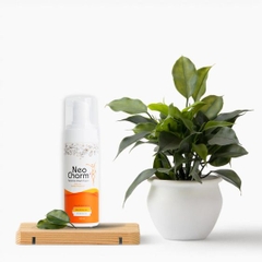 [THÙNG] DUNG DỊCH VỆ SINH PHỤ NỮ 160ML - NEO CHARM - 50 CHAI/THÙNG