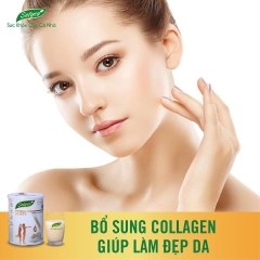Yến mạch dinh dưỡng Satyca 