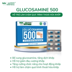 GLUCOSAMINE 500 hỗ trợ làm chậm quá trình thoái hóa khớp