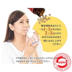 Viên Uống Nhân Sâm Korai 750mg (120 Viên) - Nhật Bản