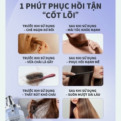 Hấp phục hồi tóc đa tầng Weilaiya-HỒNG KÔNG