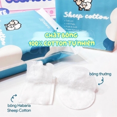 Bông tẩy trang Habaria-TQ