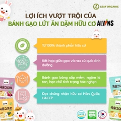 Bánh gạo lức  ăn dặm hửu cơ cho bé ALvins 25g