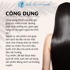CẶP DẦU GỘI XẢ CÔNG TY- BIOTIN COLLAGEN 500ml -MẪU MỚI 4 MÀU -Ý