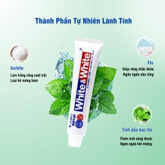 Kem đánh răng WHITE & WHITE LION NHẬT BẢN