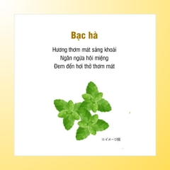 Kem đánh răng muối Sunstar 170g Nhật Bản-nhật