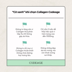 Collagen tổng hợp giúp trẻ hóa da Codeage Hydrolyzed Multi Collagen Peptides 567g