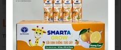 SMARTA  CAM- DÂU THÙNG 48 HỘP