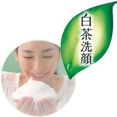 SỮA RỬA MẶT Trà Xanh Nhật Bản Rohto Shirochasou Green Tea Foam-nhật
