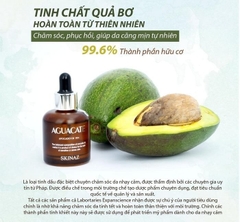 Bộ Cọ 4 Cây Odbo Perfect Brus-thái