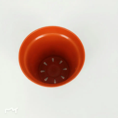 chau-4