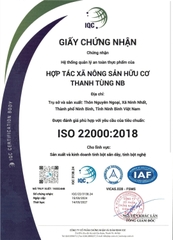 Tinh bột nghệ hữu cơ hộp 80g