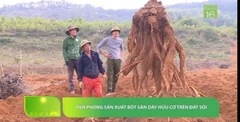 Túi giấy 1Kg (Cao Cấp) Tinh bột sắn dây Hữu cơ Thanh Tùng NB