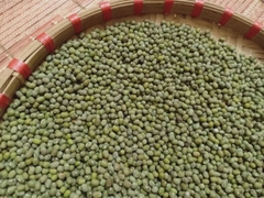 Đỗ xanh nguyên hạt