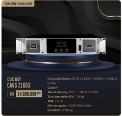 Cục Đẩy Công Suất CAVS Z1603