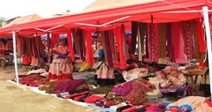 EASY TREKKING ( DAY TOUR )