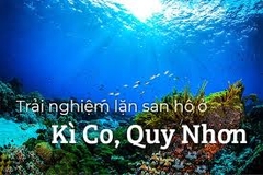 TÂY SƠN _ KHU DU LỊCH HẦM HÔ
