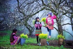 HÀ NỘI _ MỘC CHÂU _ CẦU KÍNH BẠCH LONG _ HÀ NỘI :