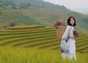 HÀ  NỘI _ NGHĨA  LỘ _ TRẠM  TẤU  _ MÙ  CANG  CHẢI  _ HÀ  NỘI :