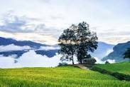 HÀ NỘI _SAPA _ Y TY _ LŨNG PÔ _ HÀ NỘI ( 3 DAY 2 NIGHT ) .