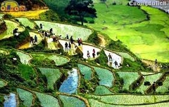 MOTOBIKE TOUR ( SAY TOUR )