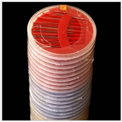 bộ 24 cây kim may tay nhiều size dùng trong gia đình