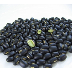 100-500G ĐỖ ĐEN - ĐẬU ĐEN XANH LÒNG THUẦN CHỦNG MỘC CHƯA RANG