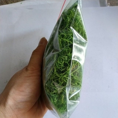 Rêu cỏ sợi, bột rêu  giả làm mô hình , trang trí bon sai, tiểu cảnh