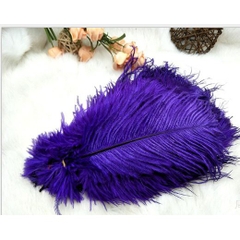 Lông vũ tự nhiên ( đạo cụ chụp ảnh)15-20cm, lông đà điểu tự nhiên trang trí