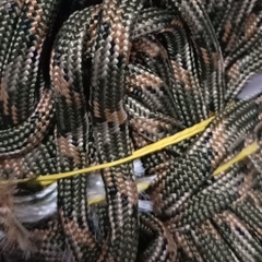 bó 3 met paracord 4mm 7 lõi nhiều màu (bổ sung màu)