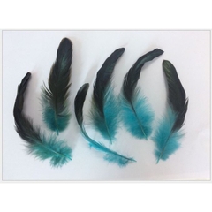 10 lông vũ đuôi nhọn 15-20cm nhiều màu