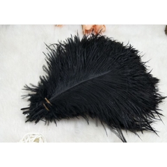 Lông vũ tự nhiên ( đạo cụ chụp ảnh)15-20cm, lông đà điểu tự nhiên trang trí