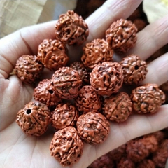 Gói 10 hạt bồ đề size 14-16mm có lỗ xỏ làm vòng