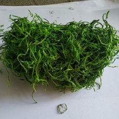 Rêu cỏ sợi, bột rêu  giả làm mô hình , trang trí bon sai, tiểu cảnh
