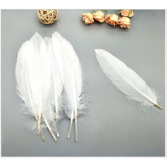 lông vũ cứng 15-20cm nhiều màu