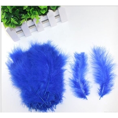 10 lông vũ mềm mịn dài 12-16cm