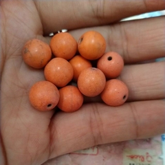 5viên ngọc lam turquoise cam size 10mm