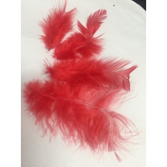 Lông vũ gói 7gam đủ màu dài 4-10CM (khoảng 80-90 cái)