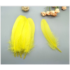 lông vũ cứng 15-20cm nhiều màu