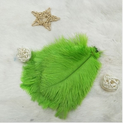 Lông vũ tự nhiên ( đạo cụ chụp ảnh)15-20cm, lông đà điểu tự nhiên trang trí