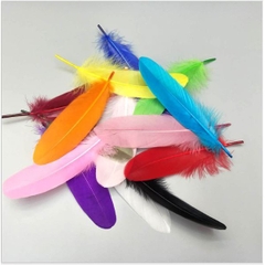 lông vũ cứng 15-20cm nhiều màu