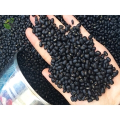 100-500G ĐỖ ĐEN - ĐẬU ĐEN XANH LÒNG THUẦN CHỦNG MỘC CHƯA RANG
