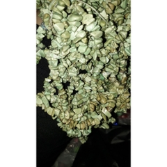 Đá ngọc lam vụn xanh lơ dây 20/40/80cm thiên nhiên làm trang sức handmade