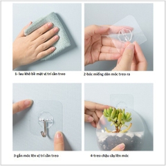 Chậu cây cảnh mini trang trí dính tường có móc treo