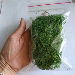 Rêu cỏ sợi, bột rêu  giả làm mô hình , trang trí bon sai, tiểu cảnh