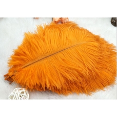 Lông vũ tự nhiên ( đạo cụ chụp ảnh)15-20cm, lông đà điểu tự nhiên trang trí