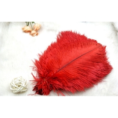 Lông vũ tự nhiên ( đạo cụ chụp ảnh)15-20cm, lông đà điểu tự nhiên trang trí