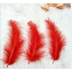 10 lông vũ mềm mịn dài 12-16cm