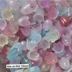 10gam-50gam hạt nhựa Hoa ánh cừ